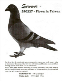 Survivor 290227 flown in Taiwan!